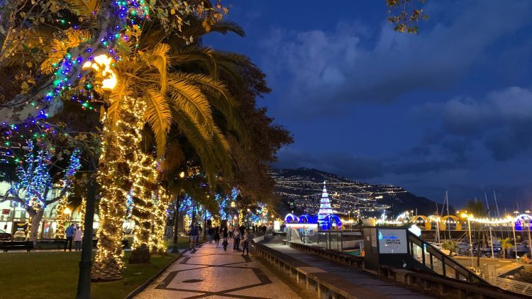odr_trips_Madeira Funchal Christmas Night AdobeStock_372979297_750x422.jpg