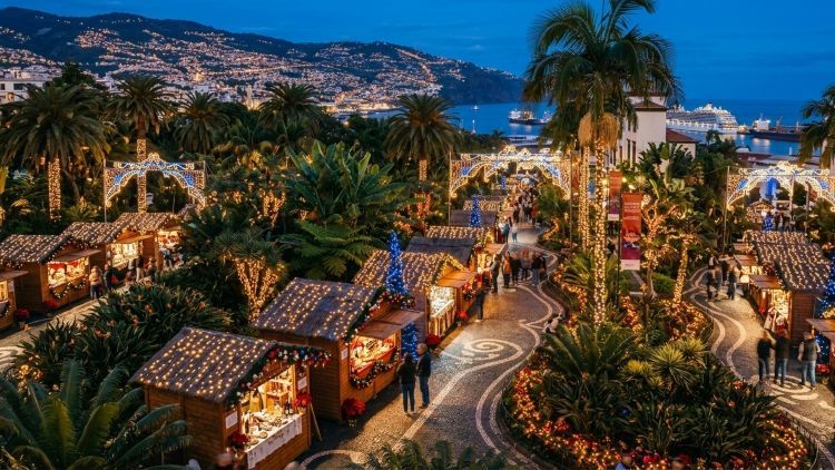 odr_trips_madeira_GGI_Dec26.jpg